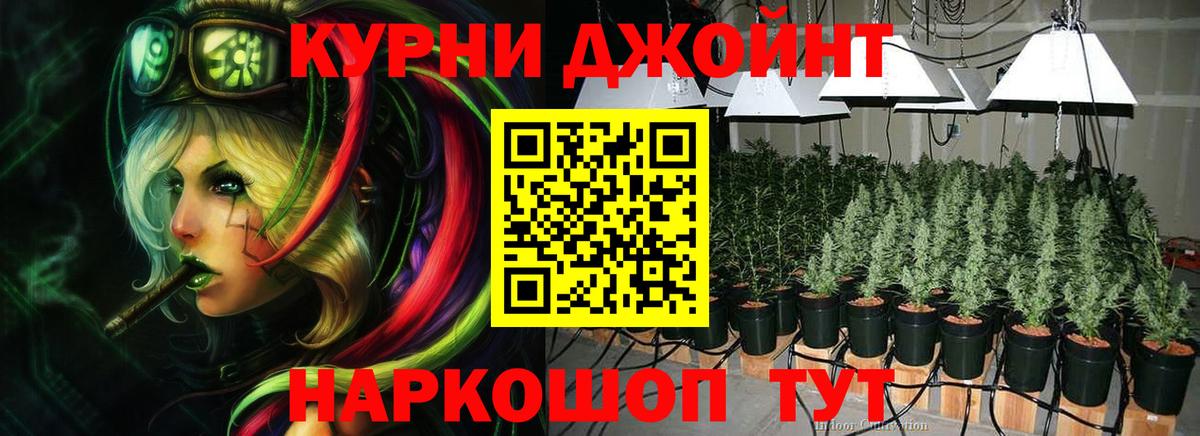 Шишки марихуана семена Губкинский